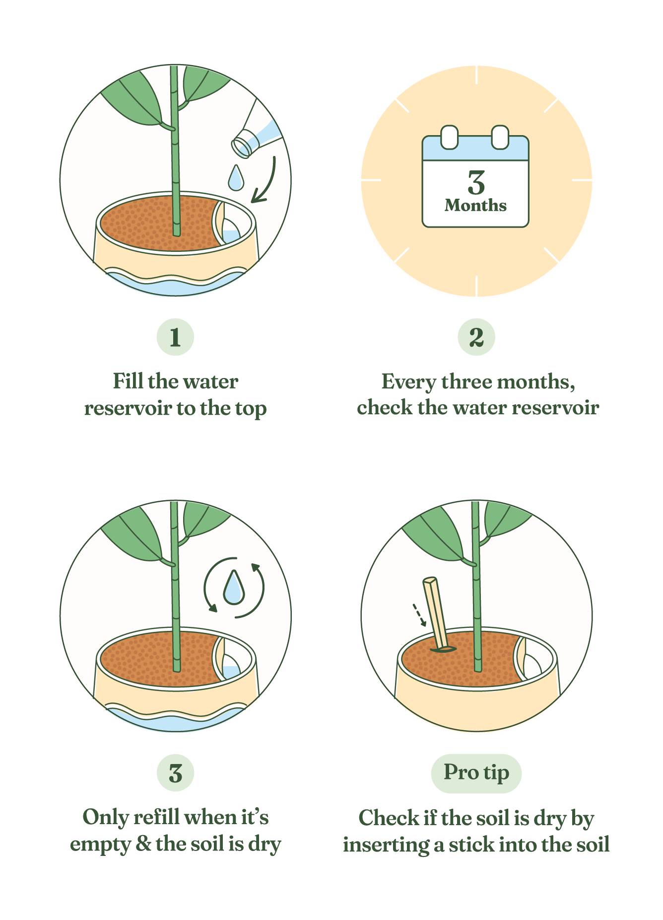 Water every 3 Months